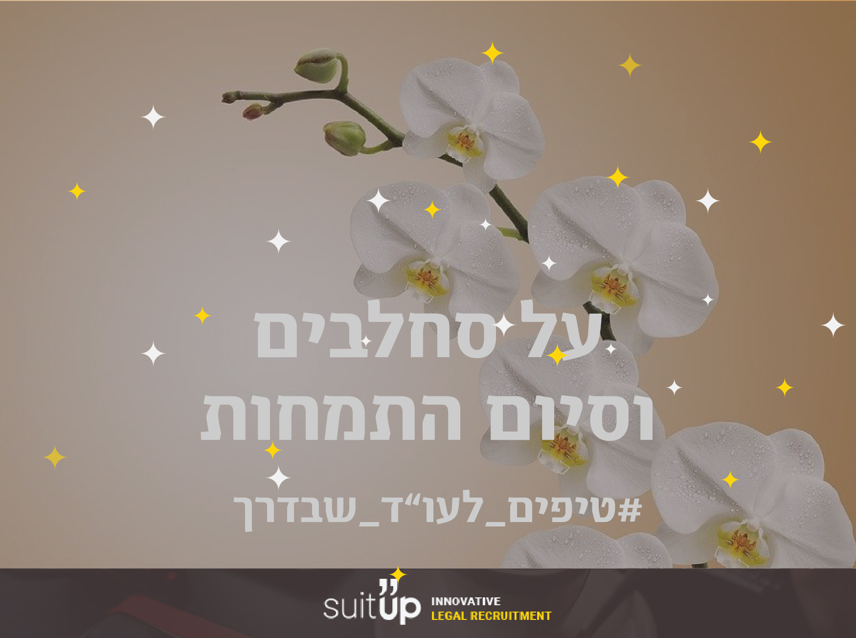 על סחלבים וסיום התמחות