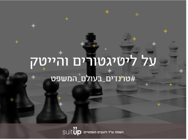 על ליטיגטורים והייטק